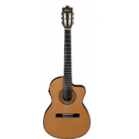Ibanez GA5TCE Classical Guitar