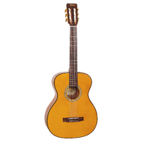 Valencia VA434CE Acoustic Nylon Guitar