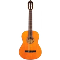 Valencia VC201 Acoustic Nylon Guitar