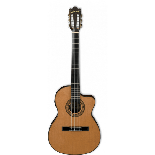 Ibanez GA5TCE Classical Guitar