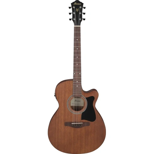 Ibanez VC44CE Acoustic-Electric Guitar